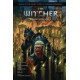 ANDRZEJ SAPKOWSKIS WITCHER QUESTION OF PRICE HC 