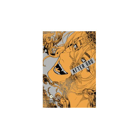 AFTER GOD GN VOL 4