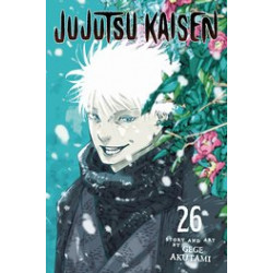 JUJUTSU KAISEN GN VOL 26