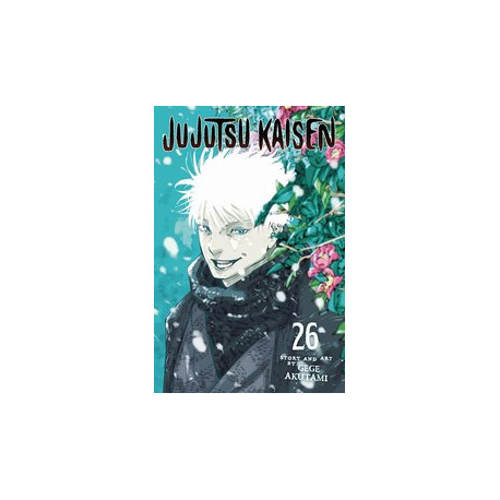 JUJUTSU KAISEN GN VOL 26