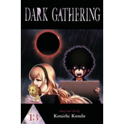 DARK GATHERING GN VOL 13
