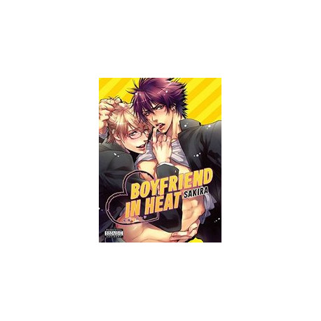 BOYFRIEND IN HEAT GN NEW PTG 