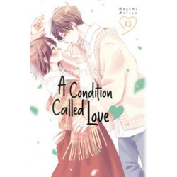 A CONDITION OF LOVE GN VOL 13