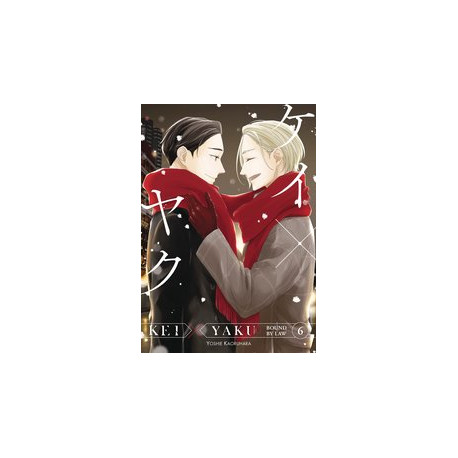 KEI X YAKU BOUND BY LAW GN VOL 6