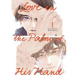 LOVE IN PALM OF HIS HAND GN VOL 1