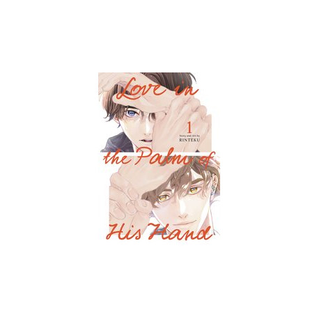 LOVE IN PALM OF HIS HAND GN VOL 1