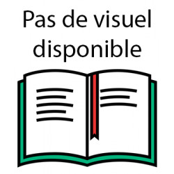 BRULEUR ENCENS FURIE DU ROI SORCIER
