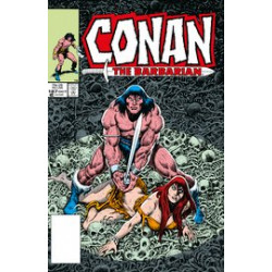 CONAN BARBARIAN ORIG OMNIBUS DIRECT MKT ED HC VOL 7