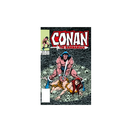 CONAN BARBARIAN ORIG OMNIBUS DIRECT MKT ED HC VOL 7