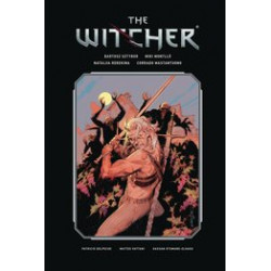 WITCHER LIBRARY ED HC VOL 3