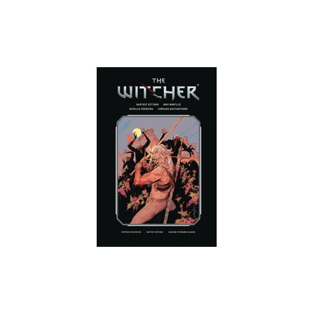 WITCHER LIBRARY ED HC VOL 3