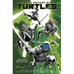 TEENAGE MUTANT NINJA TURTLES TP VOL 1 RETURN TO NEW YORK