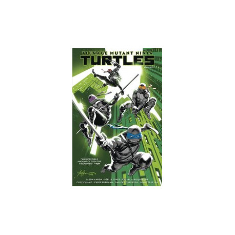 TEENAGE MUTANT NINJA TURTLES TP VOL 1 RETURN TO NEW YORK