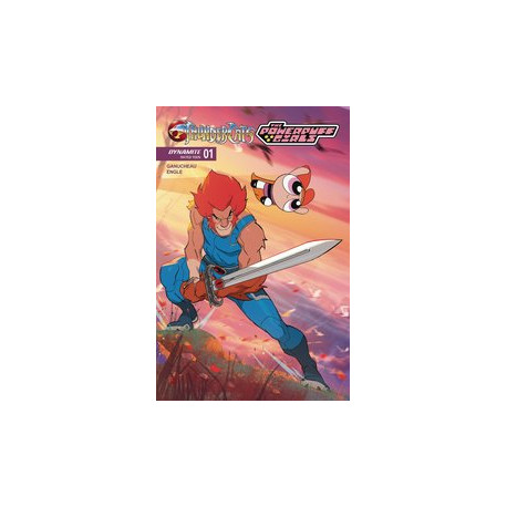 THUNDERCATS POWERPUFF GIRLS 1 CVR C STONE