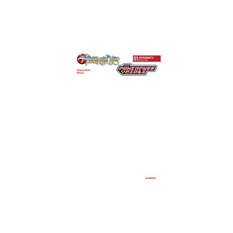 THUNDERCATS POWERPUFF GIRLS 1 CVR F BLANK AUTHENTIX