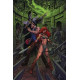 RED SONJA VS AOD 3 CVR F RANEY LTD VIRGIN