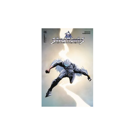 SILVERHAWKS 6 CVR A LEE CHUNG