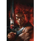 THUNDERCATS 17 CVR H PARRILLO FOIL VIRGIN
