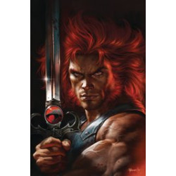 THUNDERCATS 17 CVR H PARRILLO FOIL VIRGIN