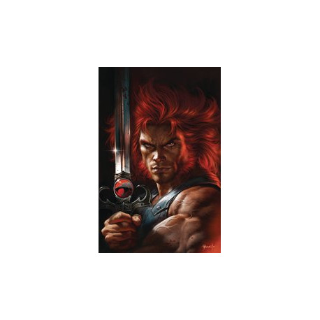 THUNDERCATS 17 CVR H PARRILLO FOIL VIRGIN