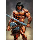 CONAN BARBARIAN 22 CVR E PANOSIAN VIRGIN FOIL