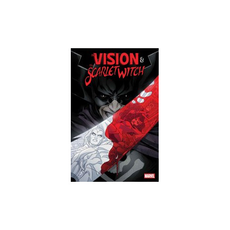 VISION SCARLET WITCH 2