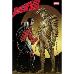 DAREDEVIL 22