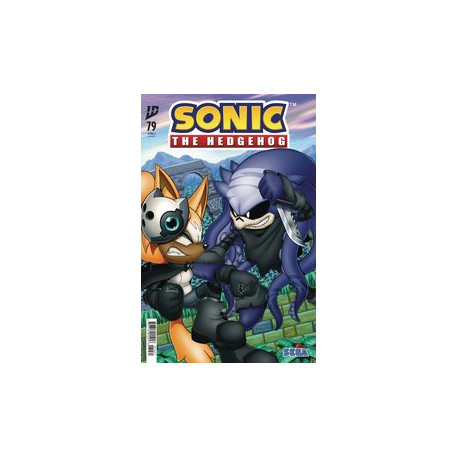 SONIC THE HEDGEHOG 79 CVR B MCGRATH
