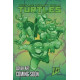 TEENAGE MUTANT NINJA TURTLES 2024 11 CVR D RODRIGUEZ