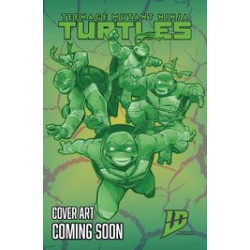 TEENAGE MUTANT NINJA TURTLES 2024 11 CVR D RODRIGUEZ