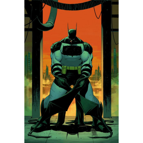 ABSOLUTE BATMAN HC VOL 01 THE ZOO