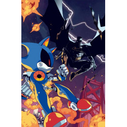DC X SONIC THE HEDGEHOG 4 OF 5 CVR A PABLO M COLLAR