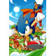 DC X SONIC THE HEDGEHOG 4 OF 5 CVR B DANIELE DI NICUOLO CARD STOCK VAR