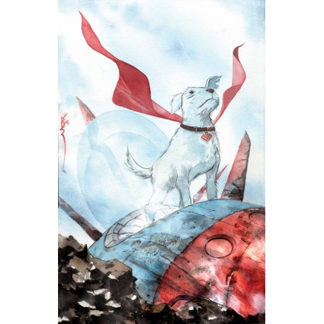 KRYPTO THE LAST DOG OF KRYPTON 1 OF 5 CVR B DUSTIN NGUYEN CARD STOCK VAR