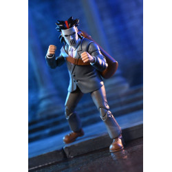 TEENAGE MUTANT NINJA TURTLES CARTOON CASEY JONES