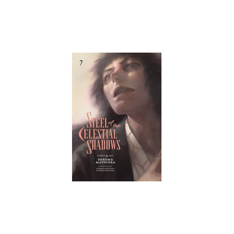 STEEL OF THE CELESTIAL SHADOWS GN VOL 7