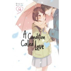 A CONDITION OF LOVE GN VOL 14