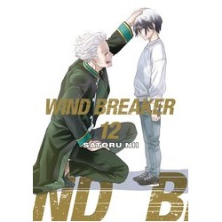 WIND BREAKER GN VOL 12
