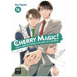 CHERRY MAGIC GN VOL 14