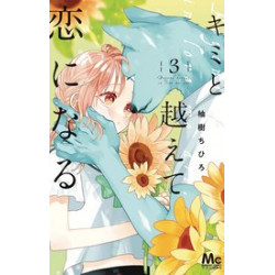 WITH YOU OUR LOVE WILL MAKE IT THROUGH GN VOL 3