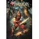 THUNDERCATS LOST 5 CVR C HETRICK