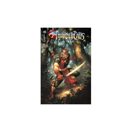 THUNDERCATS LOST 5 CVR C HETRICK