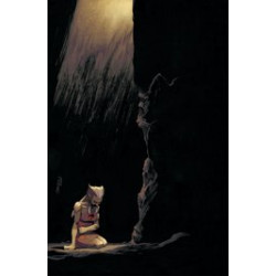 THUNDERCATS LOST 5 CVR F SHALVEY METAL PREMIUM