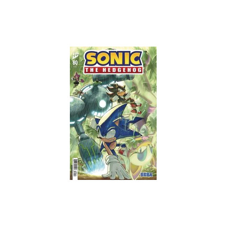 SONIC THE HEDGEHOG 80 CVR A HAMMERSTROM