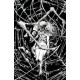 CONTEST OF CREATURES 1 CVR E B W LTD ED VIRGIN ART