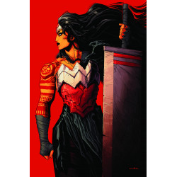 ABSOLUTE WONDER WOMAN 10 CVR B KRIS ANKA CARD STOCK VAR