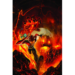 ABSOLUTE FLASH 5 CVR A NICK ROBLES