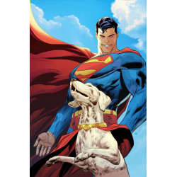 SUPERMAN UNLIMITED 3 CVR D RYAN BENJAMIN CARD STOCK VAR