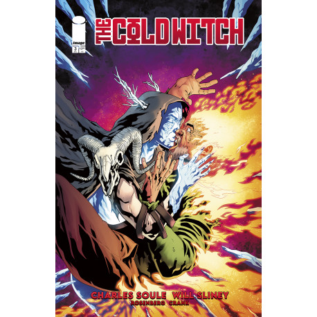 COLD WITCH A TALE OF THE SHROUDED COLLEGE 3 OF 5 CVR A WILL SLINEY