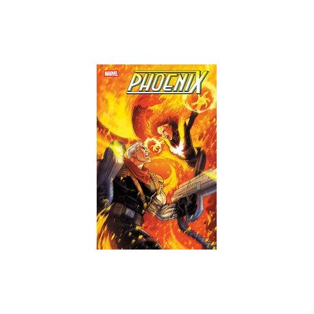 PHOENIX 13